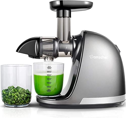 AMZCHEF Juicer Machines - Cold Press Slow Juicer - Masticating Juicer for Whole Fruits and Vegetables - Delicate Chew No Need to Filter - BPA Free Juice Extractor - Light Grey