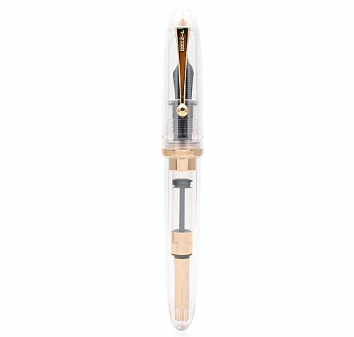 JINHAO DADAO 9019 Fountain Pen Acrylic Ink Pen with Ink Converter (Medium Nib, Transparent)