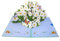 scicent Geburtstagskarte Pop Up Karte Blumen Gänseblümchen 3D Blumenkarte für Frau Mutter Freundin Geburtstagskarte Gute Besserung zum Geburtstag - 20551