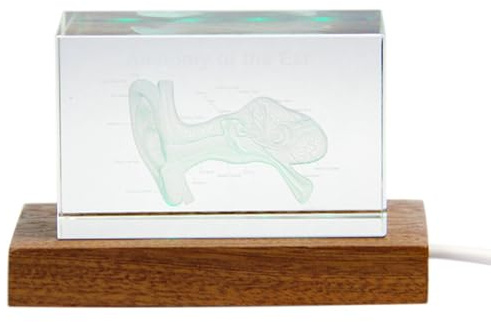 TsoLay 3D Ear Organ Model Crystal Cube Otology Science Gifts Crystal Glass Figurine Paperweight Human Organ Statue B