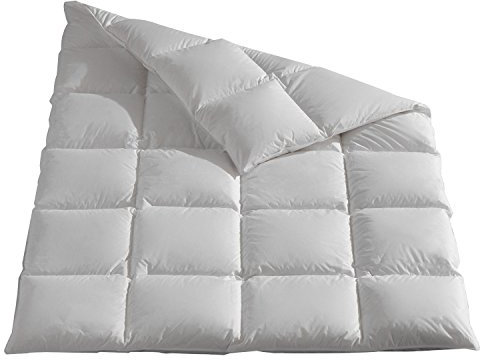 Häussling Kassettendecke Daunen/Feder 2 cm Stege - Wärmestufe 3 Größe 200x220 cm