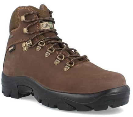CHIRUCA Pointer 02 Gore-Tex-Stiefel, braun, 43 EU