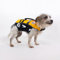EzyDog Micro DFD Schwimmweste, Rettungsweste, Bootfahren, unter 7 kg, hundefreundlich, Paddelboard, überlegener Auftrieb, Rettungsgriff, Gelb