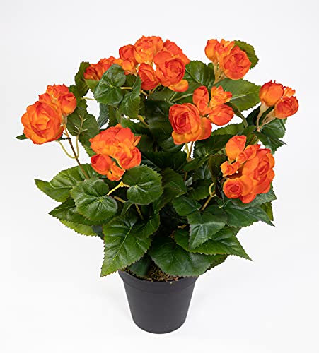 Seidenblumen Roß Begonie 38cm orange im Topf LM Kunstpflanzen Kunstblumen künstliche Blumen Pflanzen Begonienbusch