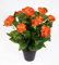 Seidenblumen Roß Begonie 38cm orange im Topf LM Kunstpflanzen Kunstblumen künstliche Blumen Pflanzen Begonienbusch