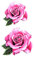 EROSPA® Tattoo-Bogen temporär/Sticker - Rose Blume Flower - Wasserfest