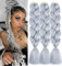 ColorfulPanda 3 Stücke Jumbo Braid Kunsthaar 24 Zoll 100g Kanekalon Haar Flechten Extensions Für Crochet Twist Flechten Haar (Grau)