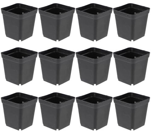 Yardwe 50 macetas cuadradas pequeñas de plástico Negro para Interiores de plástico, 6 cm x 6 cm x 6,5 cm