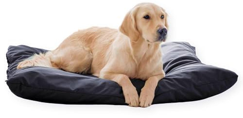 4L Textil ZOE Hundekissen wasserfest mit Bezug Hundebett wasserabweisend Hundekissen mittelgroße Hunde waschbares Hundebett mittelgroße Hunde (60x50 cm, Schwarz)