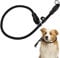 TIESOME Slip Collar Dog Training Choke Collar, Round Nylon Rope Collar No Pull P-Collar for Small Medium Large Dogs (Black M)