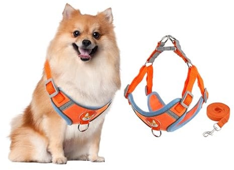 ZSMJAER Pettorina per Cane, Pettorina Cane Taglia M/L, Pettorina Ad H, Misura Ampiamente Regolabile e Dotata di Catarifrangenti, Doppio Gancio + 1.5M Maniglia, Pettorina Perfetta e Resistente (M)