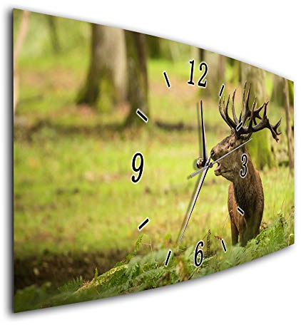Bilder-Manufaktur BM Funk Quarz Wanduhr Funkwanduhr Funkwanduhren Funkuhr Funkuhren kein Ticken lautlos geräuschlos leise modern ohne Tickgeräusche groÃŸ XXL Wohnzimmer Küche Wald Hirsch Natur 9155-1a