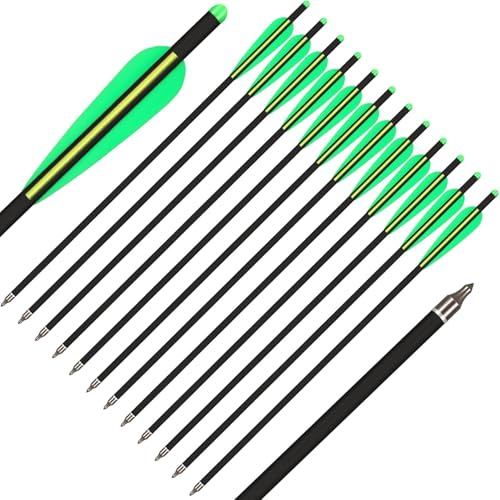 BKEBOLTS 24x Carbon Armbrustbolzen 20 Zoll Armbrustpfeile Jagd Bogenschießen Carbonpfeile mit 4 Flügelschraube Ersatz Pfeilspitze Spitze