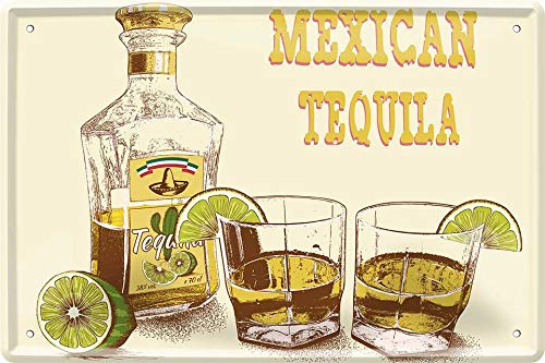 Mexican Tequila with Lemon 20 x 30 cm Haus Bar Deko Blechschild 347