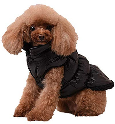 Haustier Hund Katze Kleidung,Hundejacke Hundemantel Warme Hund Jacke Katzen Gepolsterte Weste Bulldog Chihuahua Teddy Welpen Daunenjacke Wasserdichte Haustier Vierbeiniges Mantel Jacke Schwarz B L