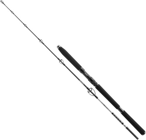 DAIWA BG Sea Jigger, caña de pescar giratoria en el mar, 7 pies 7 pulgadas, 5.5-14.5 onzas