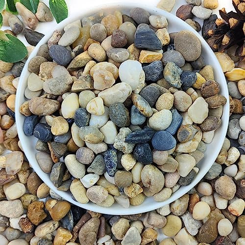 YISZM 20lbs Natural River Rocks for Plants, 3/8 Aquarium Gravel Decorative Polished Mixed Pebbles for Fish Tank, Gardening, Flower Pots, Vase Fillers, Indoor Water Fountains, Landscaping