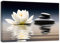 ZQQART Zen Wandbild auf Leinwand Lotusblüte im Wasser Bild schwarzer Zen Stein Gemälde Drucke Spa Yoga Meditation Raumdekor Rahmen (ZQQART 30x45cm)