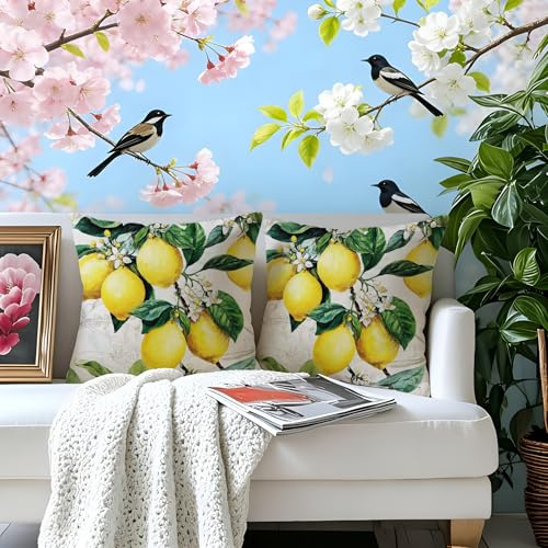 Gnoxaris Outdoor Kissenbezug Wasserfest Outdoor Kissen Wetterfest Dekorative Gartenkissen 45x45 cm Zitronen Zweige Wasserdicht Kissenbezüge 2er Set für Garten Sofa Wohnzimmer Bett