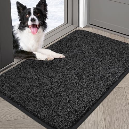 COSY HOMEER Fussmatte Innen 80 x 120 cm, Weich Saugfähig und Schmutzabweisend Fußmatte rutschfest, Niedriges Profil Schmutzfangmatte Maschinenwaschbar für Hintertür, Eingang, Flur, Küche, Schwarz