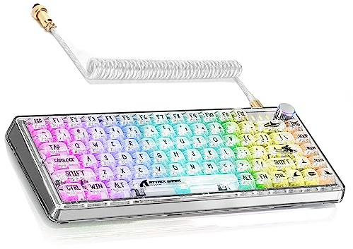 MAGIC-REFINER 81 Keys Mechanical Gaming Keyboard with Type C Cable Plug Play,PC High Transparent Body with Customize RGB Backlight, Full Key can Hot-Swappable Compact Mini Keyboard with, for Win/Mac