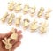 YIEUR 12 Stück mini Wäscheklammern Holz Nachhaltige Kaninchen Hasen mit Rübe Form, 5cm Osterhasen Deko Klammern Holz mit Motiv zum Fotos Fotowand und Gastgeschenk Basteln Holzklammern(Rübe)