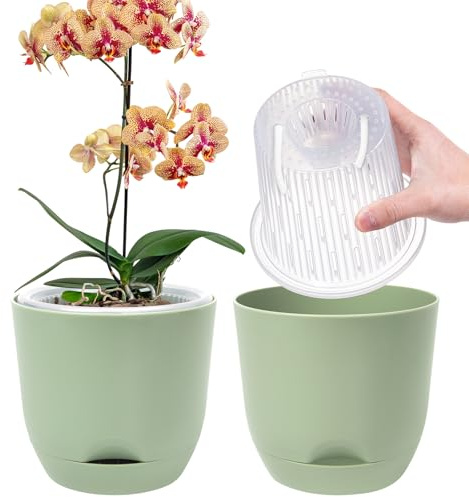 2er-Set Orchideentopf, 14,7 cm Doppelschicht-Design – Transparenter Selbstbewässerungstopf mit Übertopf, Orchideen-Bewässerungssystem, Blumentopf für Orchideen(Purgrün)