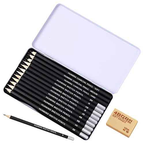 12 Bleistifte in einer Box mit 1 Radiergummi, professionelle Graphitstifte zum Skizzieren, 2H, H, HB, B, 2B, 4B, 5B, 6B, 8B, WEICH, MITTEL, HART für Anfänger, Künstler