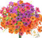 N&T NIETING Kunstblumen wie Echt, 6 Bündel UV-beständige Künstliche Blumen, Faux Kunststoff Blume Balkonpflanzen für Home Gräber Garten Balkon Frühlingsdeko Outdoor Dekor(Mischfarbe)