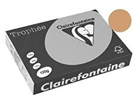 Clairefontaine 1244C - Ries mit 250 Blatt Druckerpapier / Kopierpapier Trophée, DIN A4 (21x29,7 cm), 120g, Kamelbraun Pastellfarbe, 1 Ries