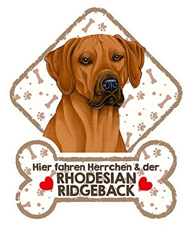 SAB Hundeschild mit Saugnäpfen für die Autoscheibe Rhodesian Ridgeback 44