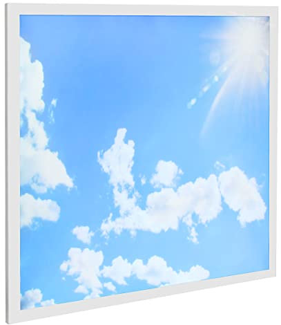 Long Life Lamp Company 40w Blue Sky LED Ceiling Panel 600 x 600 Sun Cloud Scene Recessed Office Light with Transformer