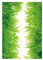 COHEALI Wandsticker Aufkleber Rasen Wandtattoo Meerschweinchen Fenstersticker Klebefolie Blumen Fensterbilder Gras Wiese Wandtattoo Pflanzenaufkleber Gras Wanddekoration Füße Vorbau Kind