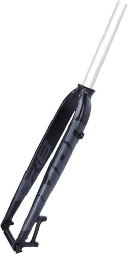 KANGXYSQ 26/27,5/29 Fourches Rigides for Vélo 28,6 Mm / 1-1/8 sans Filetage Tube Droit Fourche Rigide Alliage D'aluminium Frein À Disque VTT Fourche QR 9 X 100 Mm(Matte Gray,26)