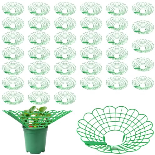 MUNGHOK 40 Stück 29cm Erdbeerreifer Set, Grün Erdbeeren Fruchtreifer aus Kunststoff, Erdbeerstützen Ständer, Erdbeer Regal Erdbeergitter Schützen für Erdbeeren Pflanzen