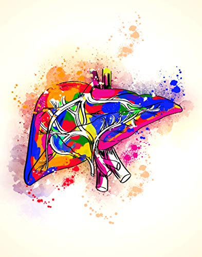 H+CO Inspired Poster mit Lebermedizin, ideal für Ärzte oder Krankenhaus, inspirierende Kunst für Doktorabsolventen oder Krankenschwestern, ungerahmt, 27,9 x 35,6 cm