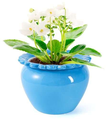 Tbpro Afrikanische Veilchen-Töpfe, 20,3 cm, blaue Keramik, einfache Selbstbewässerung, Keramik-Blumentopf mit wasserabsorbierendem Innentopf, Orchideen-Pflanzgefäß, Rasen, Hof, draußen, elegante
