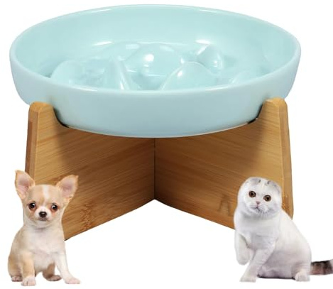 Cuenco antiglotón para gato de cerámica para gato elevado con base antideslizante, laberinto interactivo antiglotón, pequeño perro, plato de dieta para alimentación lenta (verde claro)