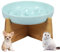 Cuenco antiglotón para gato de cerámica para gato elevado con base antideslizante, laberinto interactivo antiglotón, pequeño perro, plato de dieta para alimentación lenta (verde claro)
