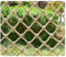 Natürliches Jute-Material, Wandspaliernetz für Kletterpflanzen, Hanfseil, Netz, Bordüre und Zubehör, 20 m, mehrere (Größe: 1 x 2 m)