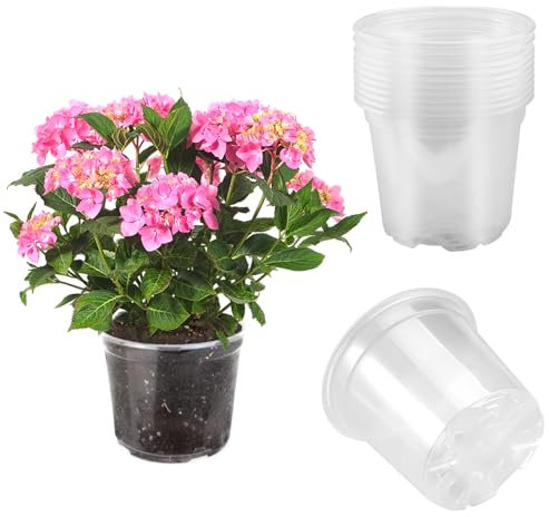 10 Pezzi Vasi per Orchidee in Plastica, Vaso per Orchidee Trasparente con Fori di Areazione, Vaso Trasparente per Banco di Balcone Esterno Interno, Vasi per Piante