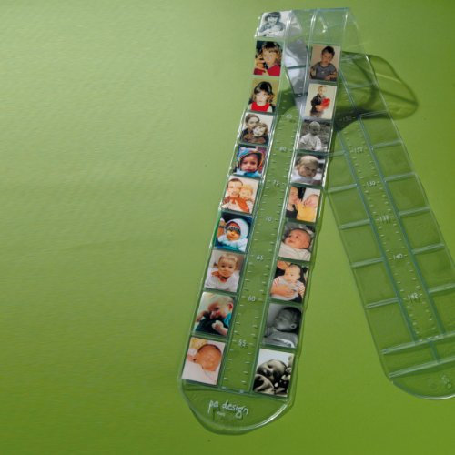 Theophil Messlatte 160 x 12 cm - 2 x 30 Laschen