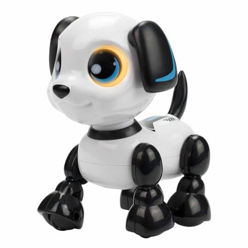 Silverlit Germany GmbH ROBO Heads UP 2-Fach sort.