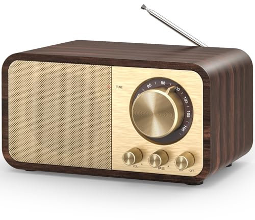 Tendak Radio Portatile Vintage FM, Radio Bluetooth Portatile Dotato di un Potente Altoparlante da 5W, chiaro e rumoroso, Batteria Ricaricabile da 2000 mAh, Supports TF Card/AUX/USB.