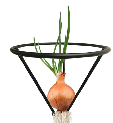 Avocado Seed Starter Vase - Avocado Seed Vase Holder | Avocado Growing Vase | Avocado Seed Holder | Avocado Seed Starter Rack | Metal Bracket For Avocado Root Sprossing Gift For Table Decoration