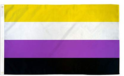 FLAGGE NON-BINARY STOLZ 150x90cm - GENDERQUEERE FAHNE 90 x 150 cm feiner polyester - flaggen AZ FLAG
