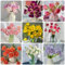 15 Pcs Tulpenzwiebeln Kaufen - Tulipa Gesneriana - Tulpen Zwiebeln, Flowers Decoration, Zimmerpflanzen Tulpenzwiebel, Blumenzwiebeln Tulpen, Bodendecker Winterhart Mehrjährig, Blumenwiese