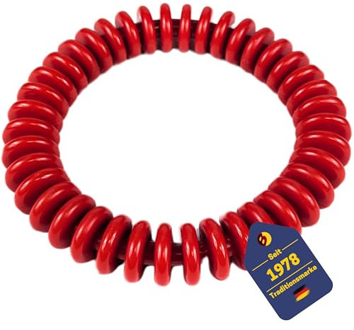 BEST SPORTING Tauchringe für Kinder 14 cm I Kinder Tauchringe, ideal für Seepferdchen und Co. I Tauchspielzeug für Kinder I Tauchringe für Kinder Set I Tauchring Kinder (Lamellen Rot)