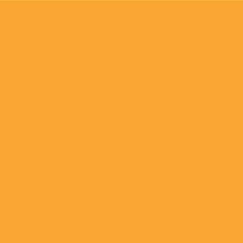 Faber-Castell Art & Graphic Polychromos Colour Pencil, (113), Orange Glaze, for Art, Craft, Drawing, Sketching, Home, School, University, Colouring
