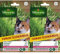 Vilmorin 5876839 Herbe à Chat orge, Vert, 11 x 1.5 x 19 cm (Lot de 2)